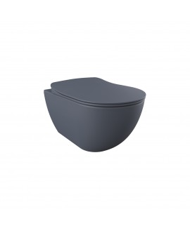 Free Wall Hung Combined Bidet Toilet - Basalt Matt + Soft Close Toilet Seat