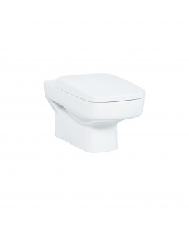 Straight Wall Hung Combined Bidet Toilet + Soft Close Toilet Seat